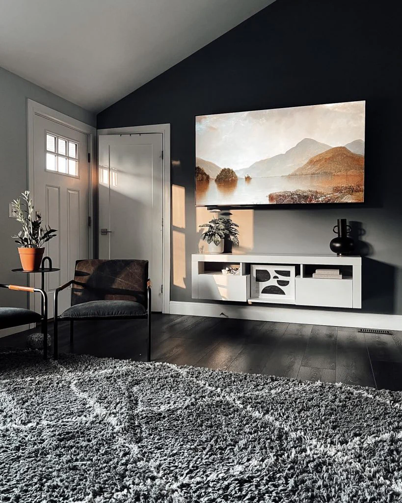 Plush area rugs