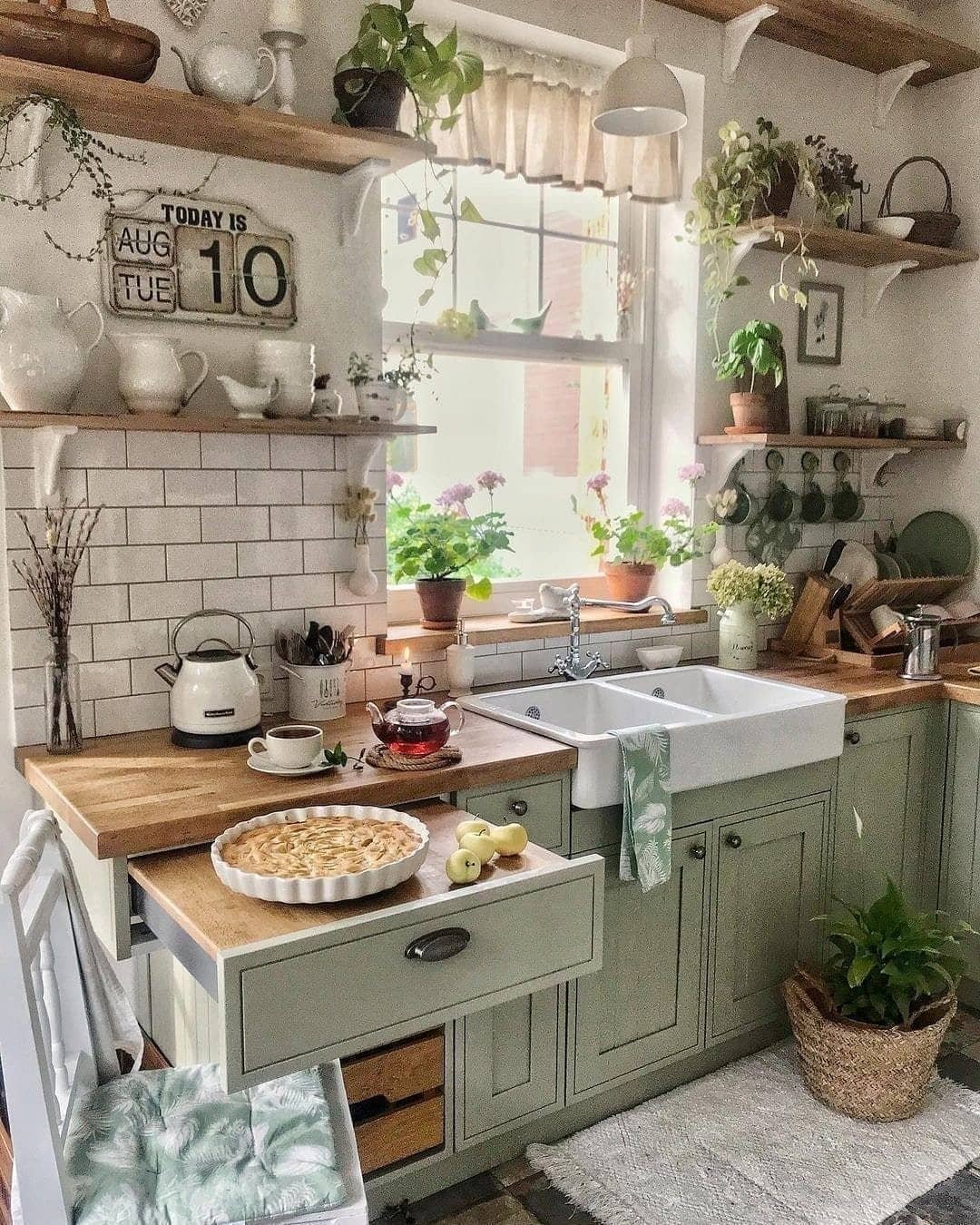 Power of Plants for for Kitchen Counter