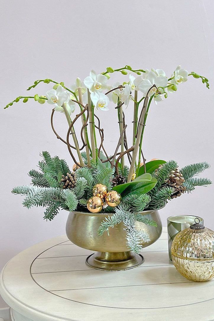 Orchids with Birch Twigs with Winter Floral Arrangements