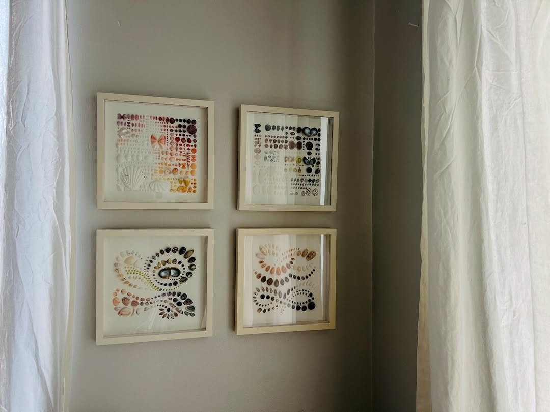 Seashell Gallery Wall