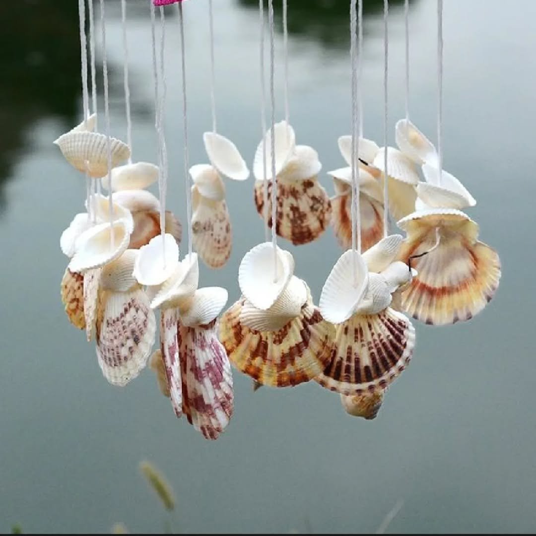 Shell Wind Chimes