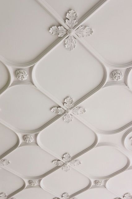 Elegant Arches