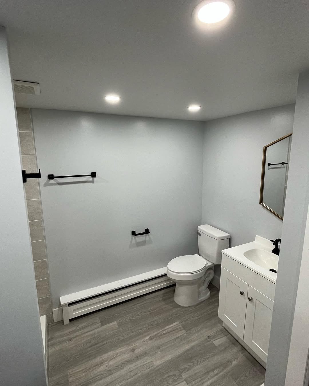 Multi-Zone for Basement Bathroom